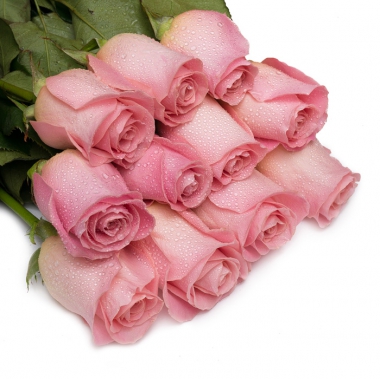 Розовые розы с доставкой